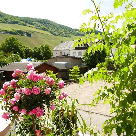 Ines Appartement Trittenheim Buitenkant foto