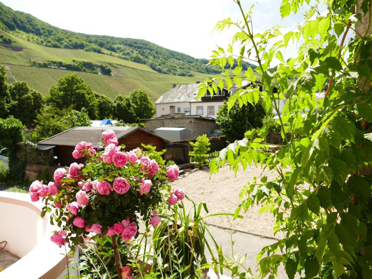 Ines Appartement Trittenheim Buitenkant foto